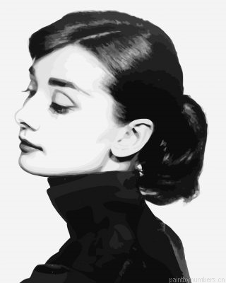Audrey Hepburn In Black Painting By Numbers.png