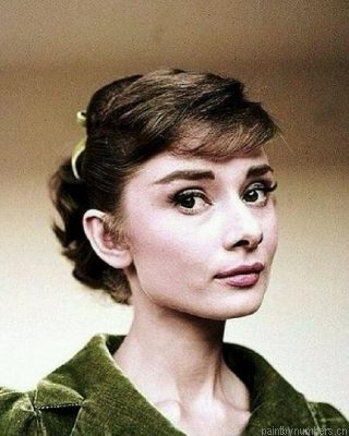 Audrey Hepburn Portrait Painting By Numbers.png