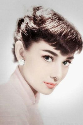 Audrey Hepburn Stunning Eyes Painting By Numbers.png