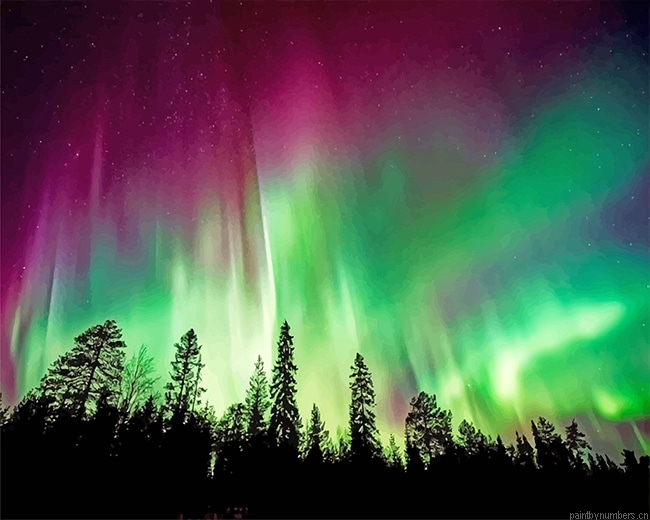 Aurora Borealis Trees Silhouette Painting By Numbers.png