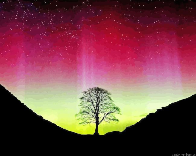Aurora Sycamore Gap Painting By Numberss.png
