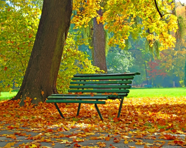 Autumn Bench Painting By Numberss.png