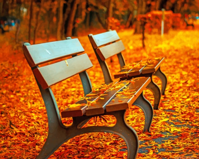 Autumn Benches Fall Painting By Numberss.png