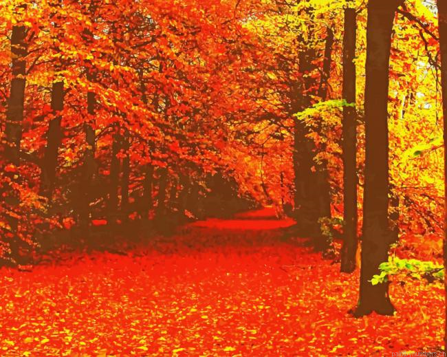 Autumn Forest Nature Painting By Numberss.png