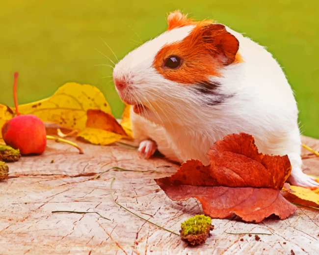 Autumn Guinea Pig Animals Painting By Numbers.png
