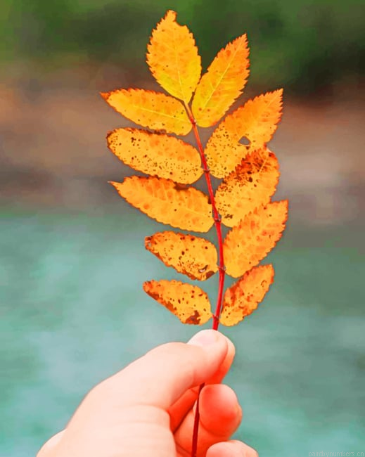 Autumn Leaves Plants Painting By Numberss.png