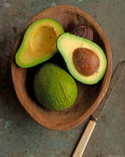 Avocado Still Life Painting By Numbers.png