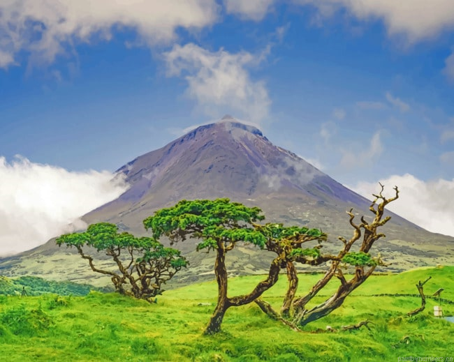 Azores Island Painting By Numberss.png