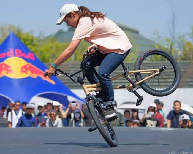 Bmx Freestyle Trick Painting By Numberss.png