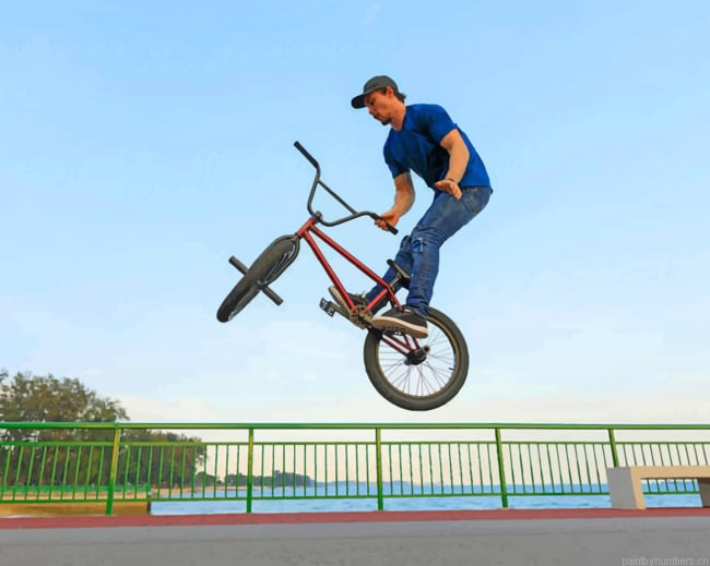 Bmx Trick In The Air Painting By Numberss.png
