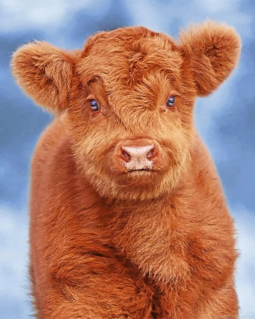Baby Cow Painting By Numberss.png