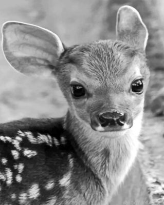 Baby Cute Reindeer Painting By Numbers.png