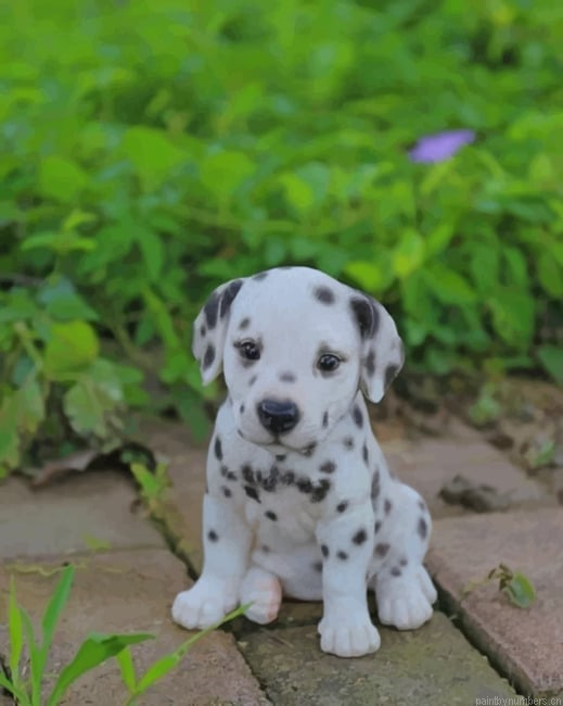 Baby Dalmatian Painting By Numberss.png