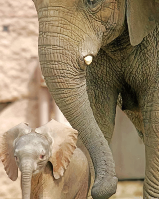 Baby Elephant With Mother Animals Painting By Numberss.png
