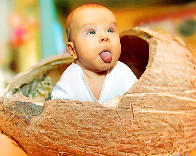 Baby In Coconut Painting By Numberss.png