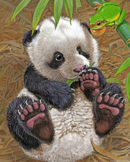 Baby Panda Painting By Numbers.png