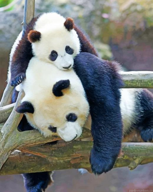 Baby Panda With Mummy Animals Painting By Numberss.png
