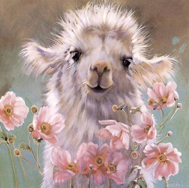 Baby Llama Animals Painting By Numbers.png