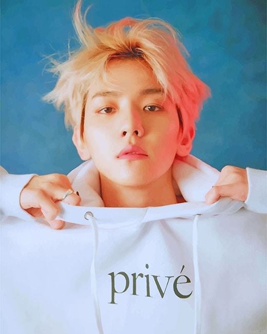 Baekhyun Exo Singers Painting By Numbers.png