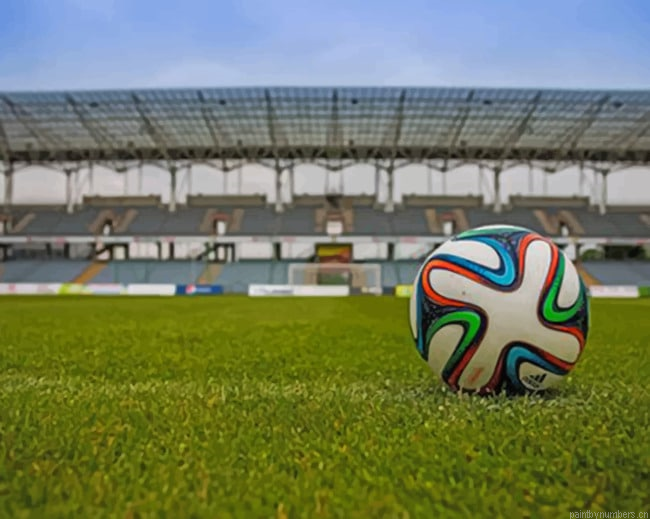 Ball In The Stadium Soccer Painting By Numberss.png