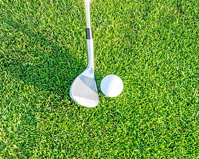 Ball With Golf Club Painting By Numbers.png