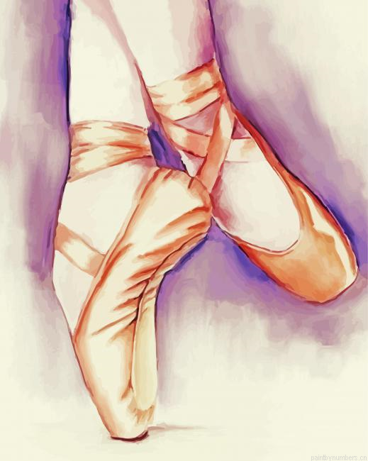 Ballet Shoes Art Painting By Numberss.png