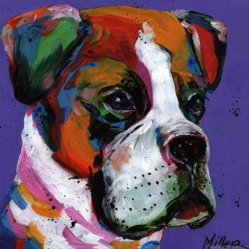 Bam Bam Boxer Dog Painting By Numbers.png