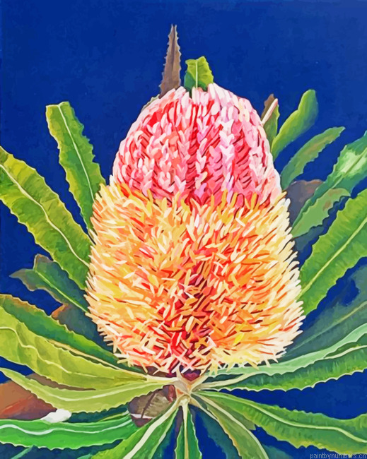 Banksias Flower Painting By Numbers.png