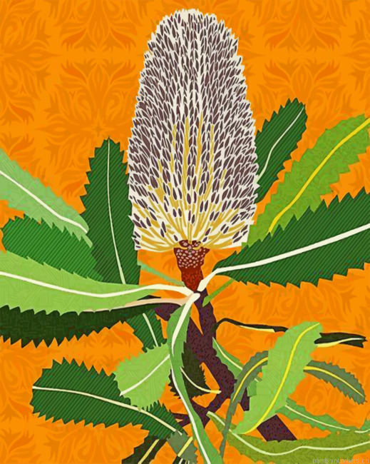 Banksias Native Australian Flower Painting By Numbers.png