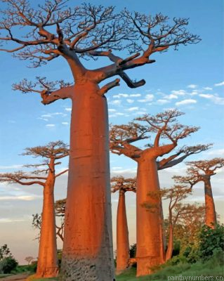 Baobab Trees Painting By Numbers.png