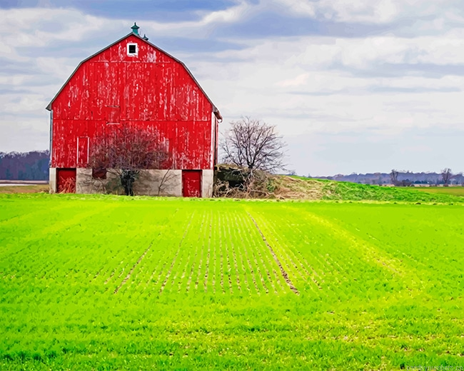 Barn Green Field Painting By Numberss.png