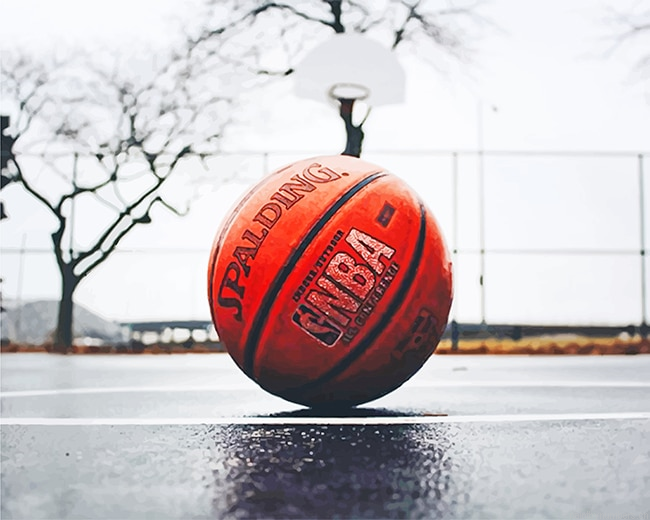 Basket Ball Painting By Numbers.png