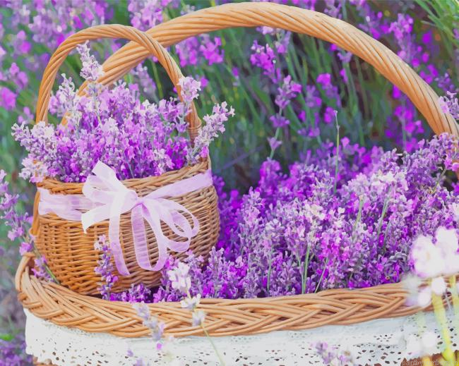 Basket Full Of Lavender Plants Painting By Numbers.png