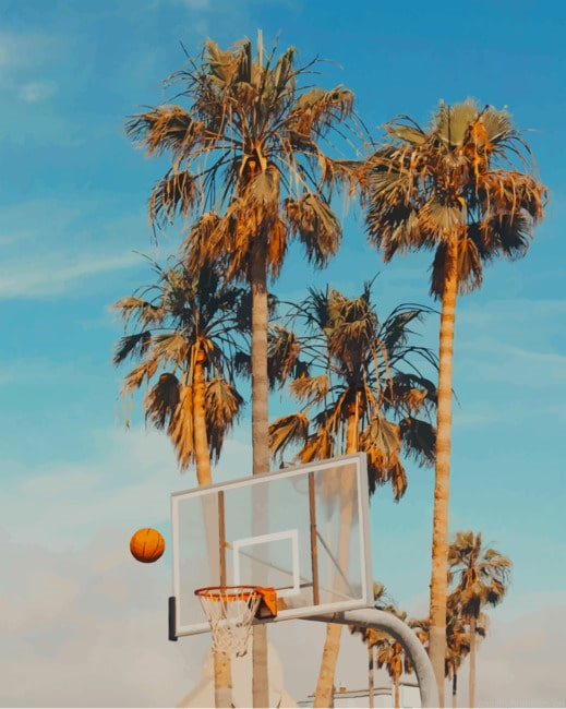 Basketball Hoop And Palms Painting By Numberss.png