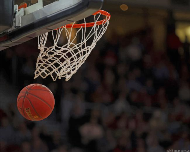 Basketball Hoop Painting By Numberss.png