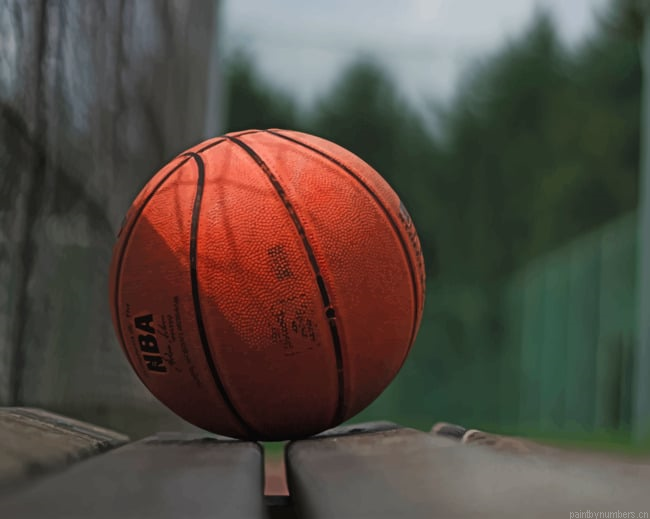Basketball On Bench Painting By Numberss.png