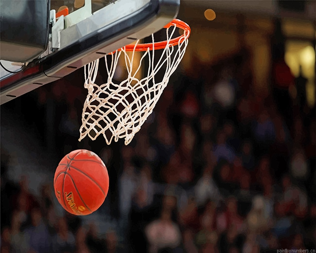 Basketball Sport Painting By Numbers.png