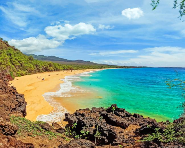 Beach Hawaii Seascapes Painting By Numberss.png