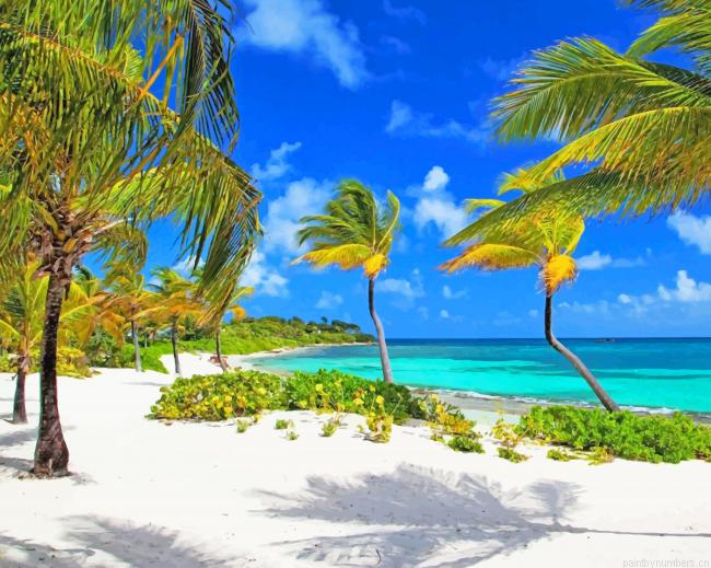 Beach Palms Painting By Numberss.png
