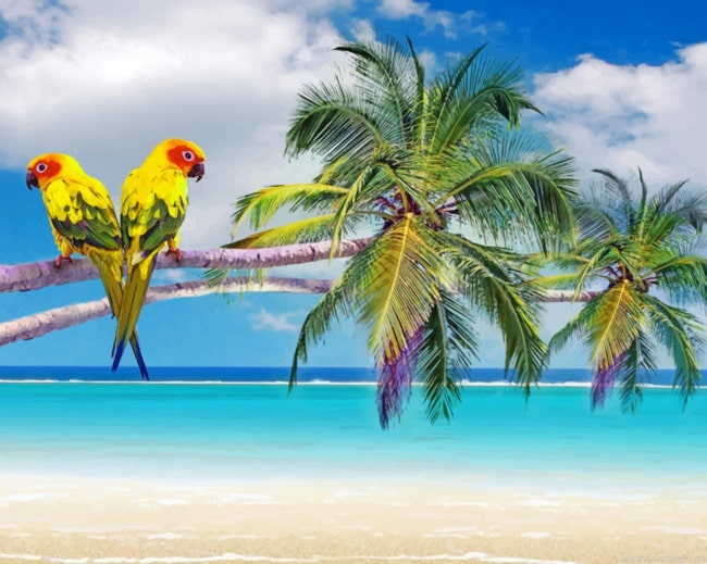 Beach Parrots Birds Painting By Numberss.png