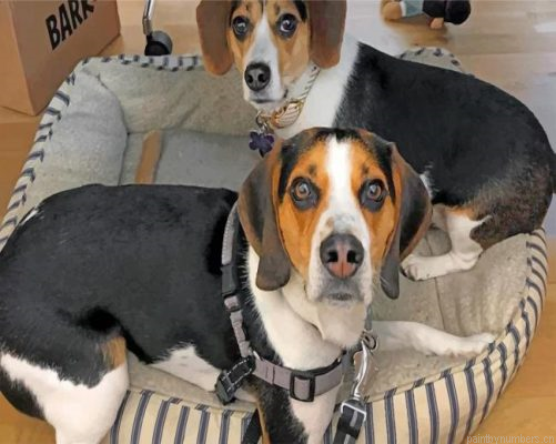 Beagles Puppies Painting By Numbers.png