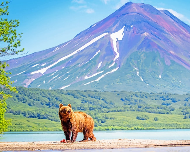 Bear In Nature Animals Painting By Numberss.png