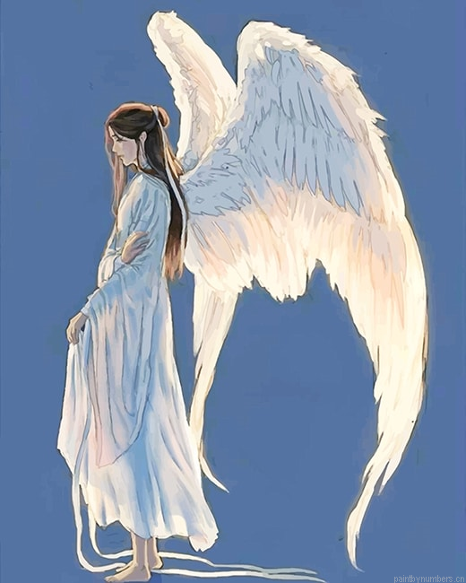 Beautiful Angel Painting By Numbers.png