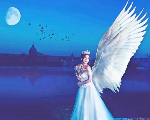 Beautiful Angelic Bride Painting By Numbers.png
