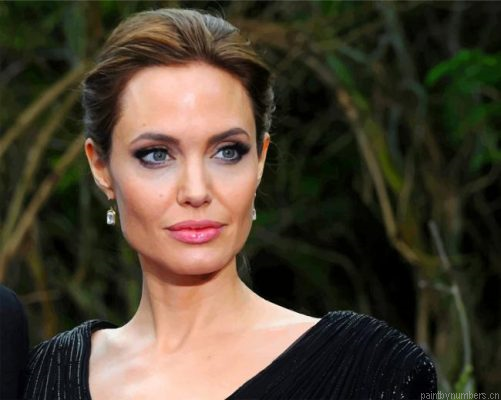 Beautiful Angelina Jolie Painting By Numbers.png