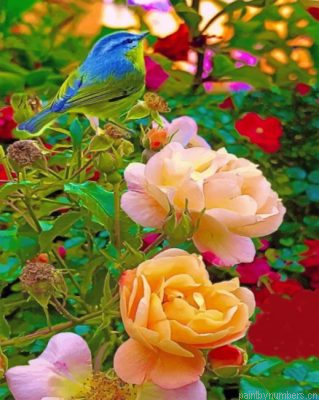 Beautiful Bird And Flowers Painting By Numbers.png