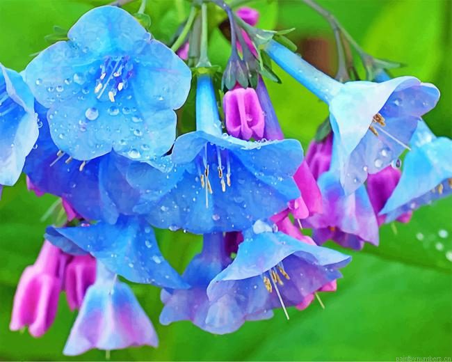 Beautiful Bluebells Painting By Numbers.png