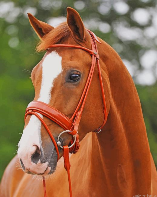 Beautiful Brown Horse Animals Painting By Numberss.png