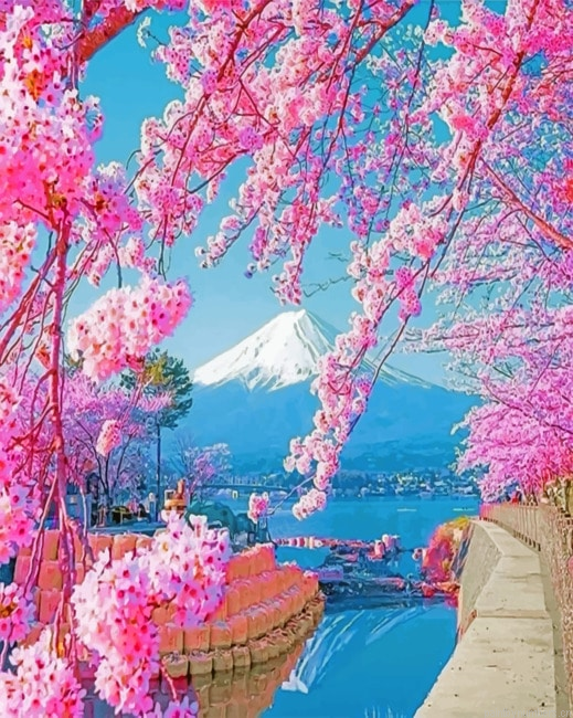 Beautiful Cherry Blossom Painting By Numberss.png