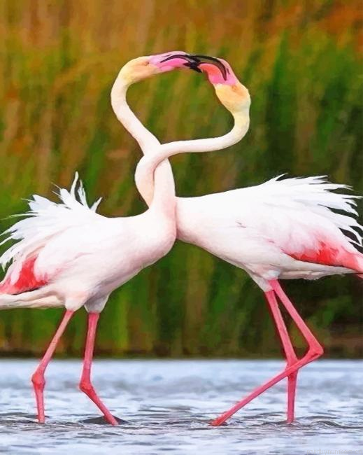 Beautiful Flamingos Birds Painting By Numbers.png